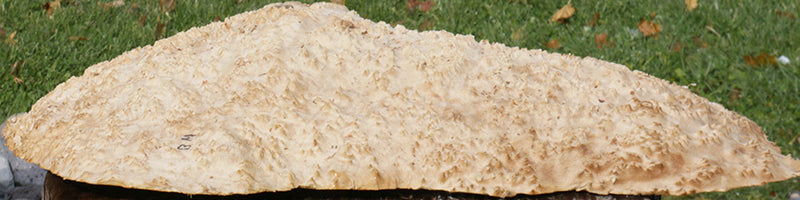 Gold Mallee Burl Cap