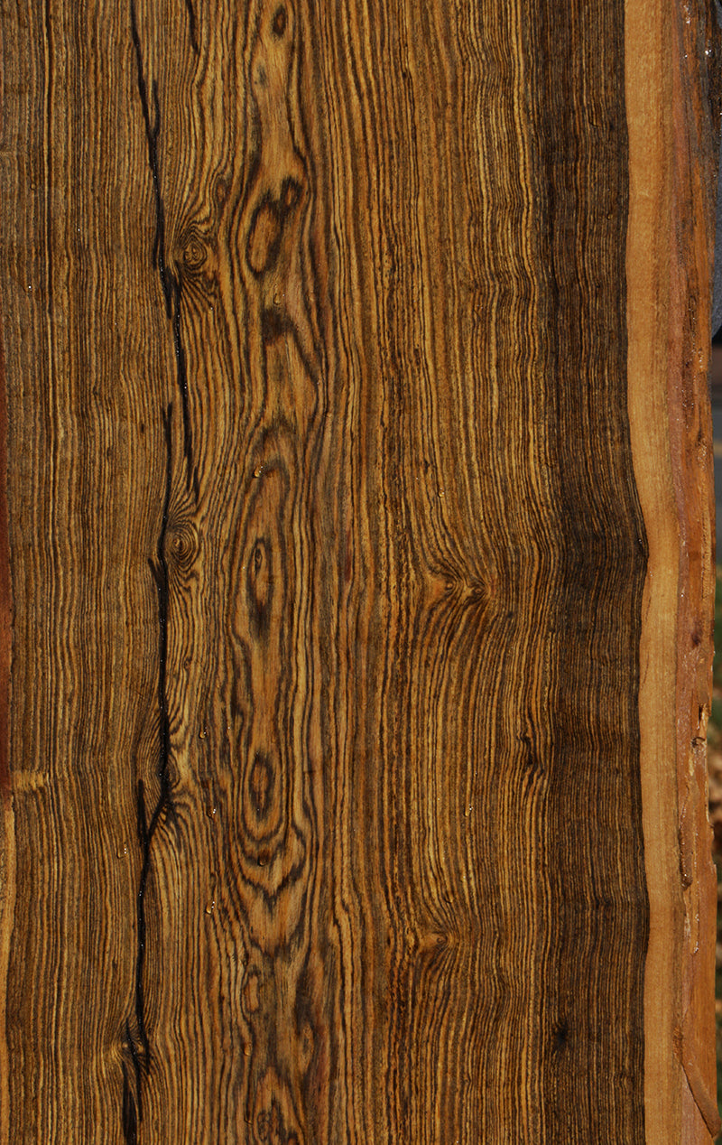 Extra Fancy Live Edge Bocote Lumber (Freight Shipping Required)
