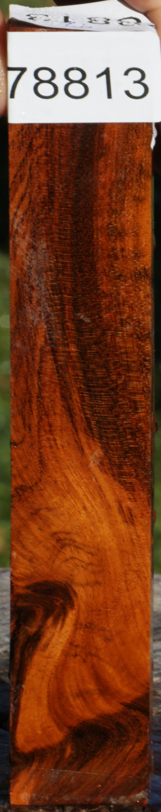 Snakewood Live Edge Lumber