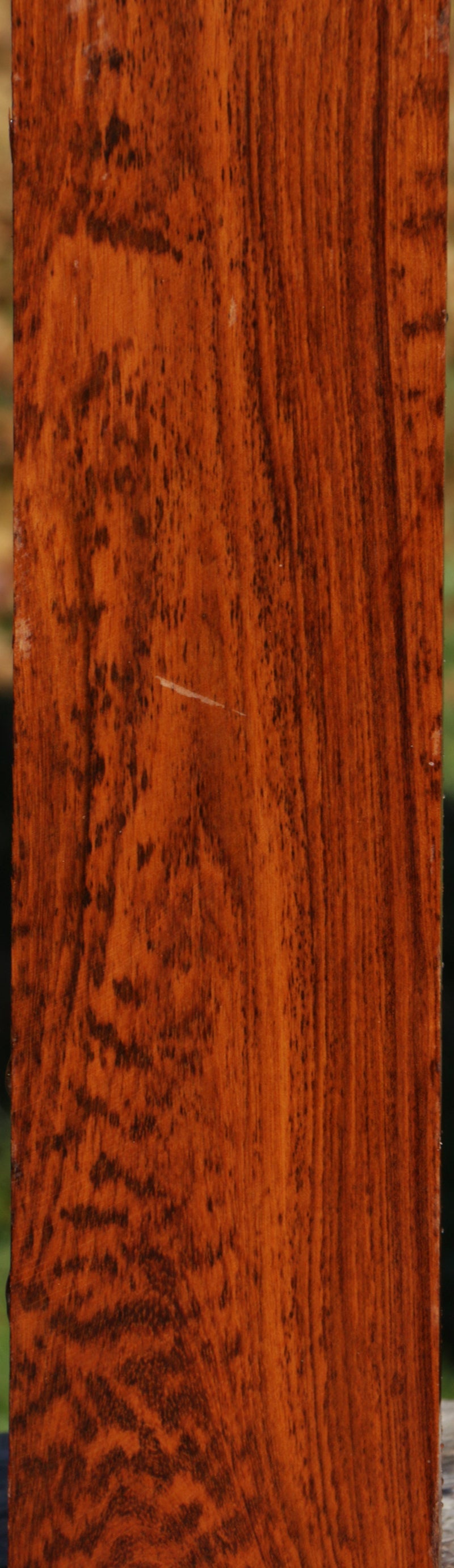 Snakewood Live Edge Lumber