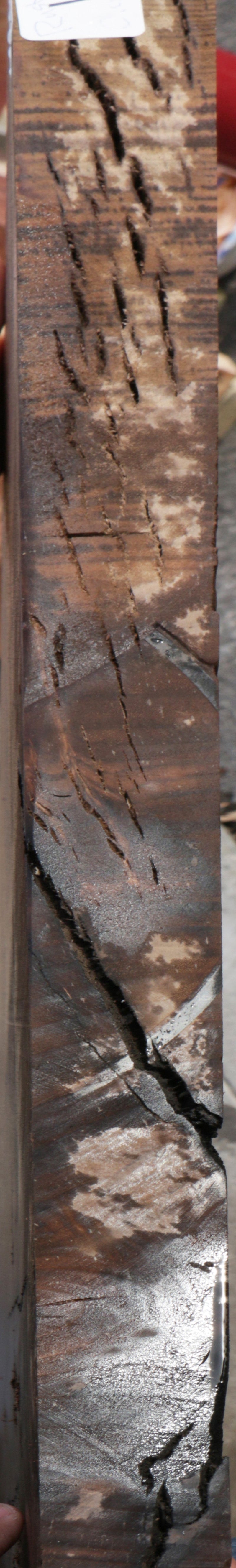 Rustic Claro Walnut Slab (Freight Shipping Required)