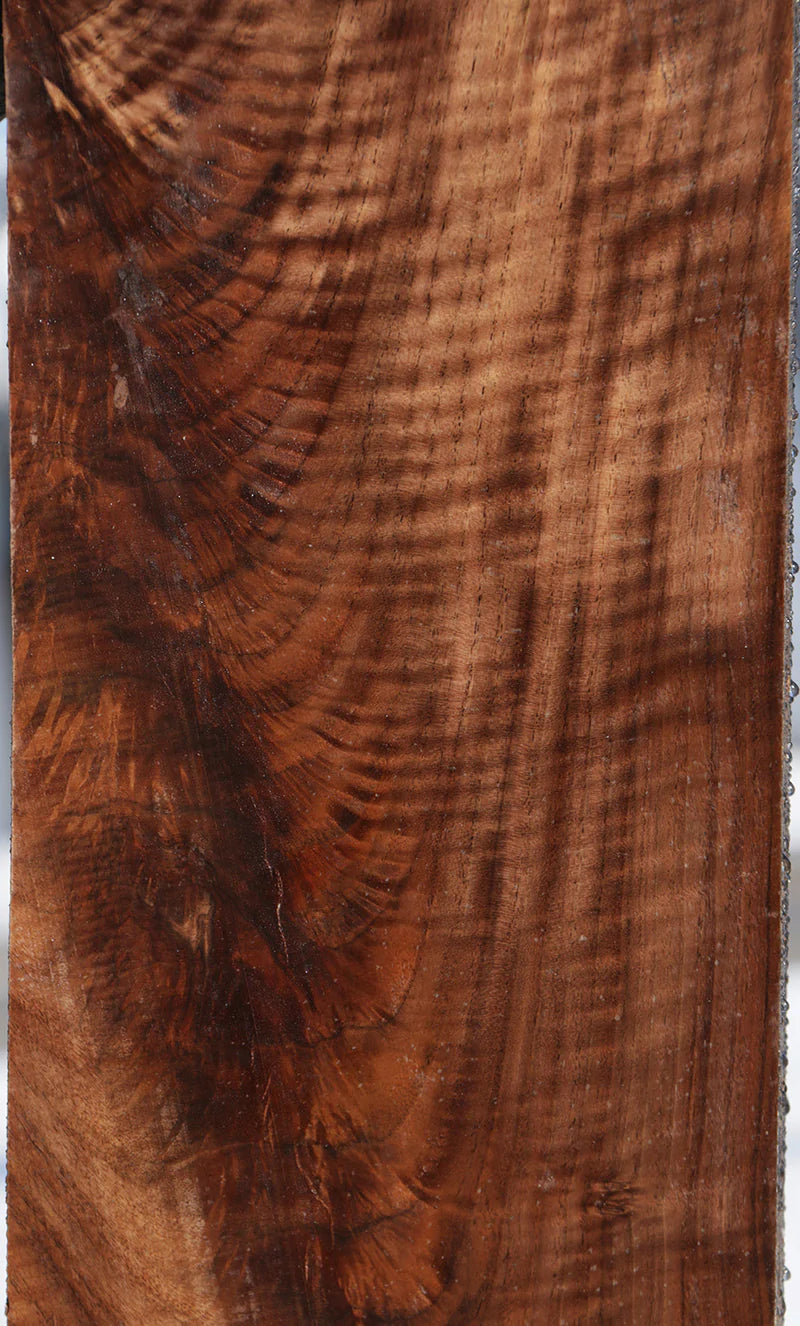 Exhibition California Claro Walnut Rifle Blank