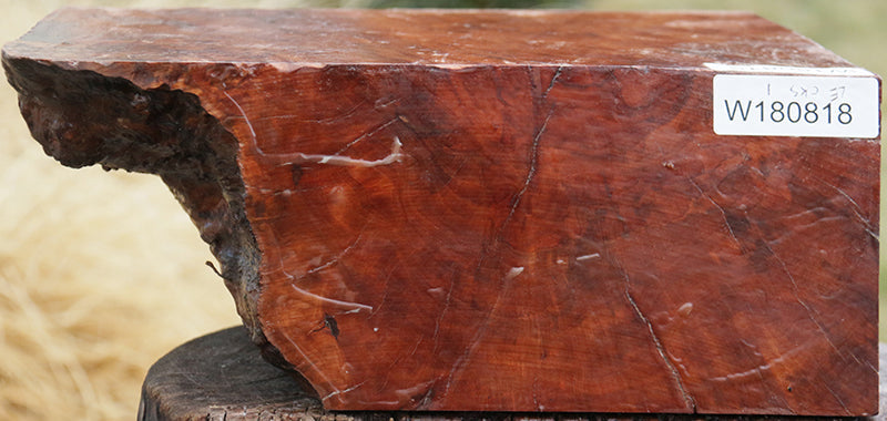 Rambutan Live Edge Bowl Blank