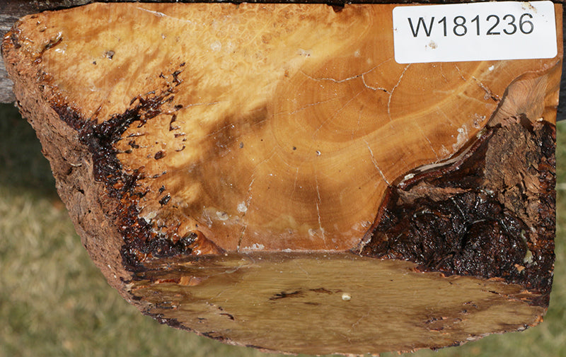 Exhibition Kanista Live Edge Bowl Blank