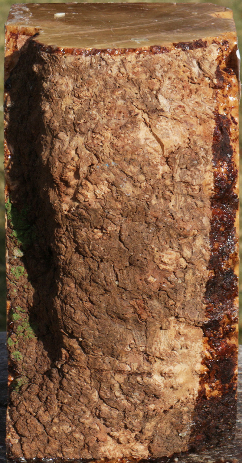 Kanista Live Edge Turning Blank