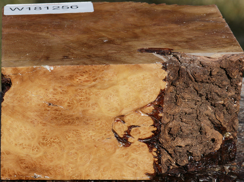 Extra Fancy Kanista Live Edge Bowl Blank