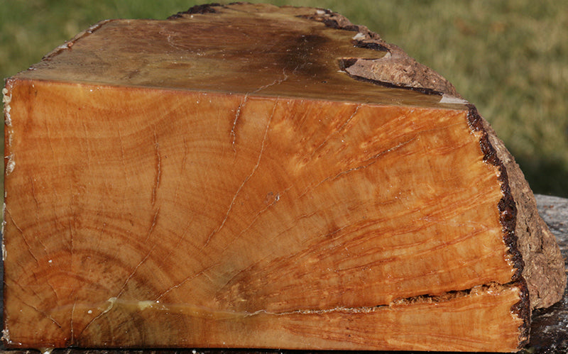Spalted Kanista Live Edge Bowl Blank