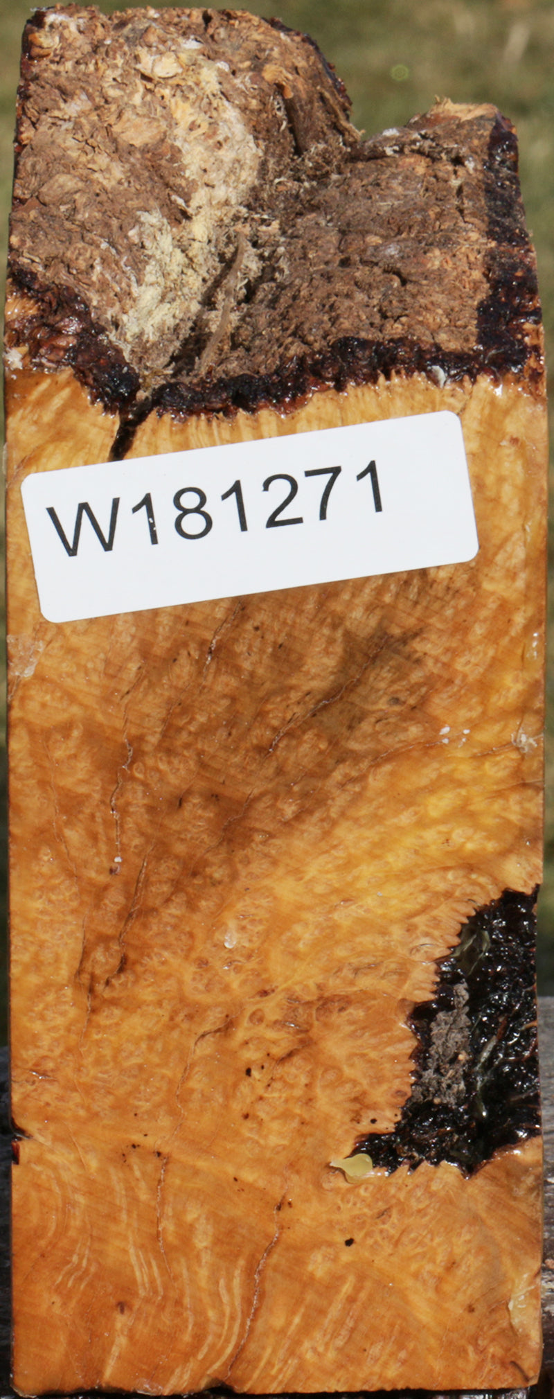 Extra Fancy Kanista Live Edge Turning Blank