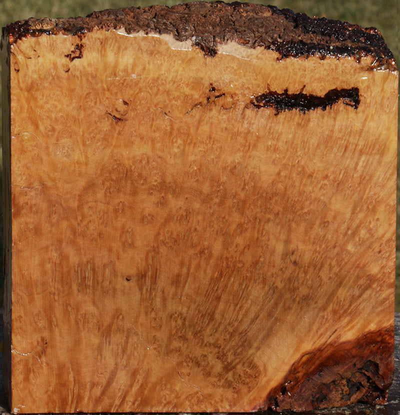 Exhibition Kanista Live Edge Bowl Blank