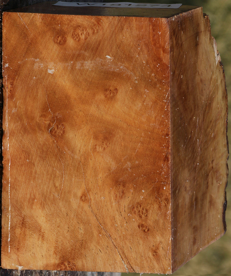 Exhibition Kanista Live Edge Bowl Blank