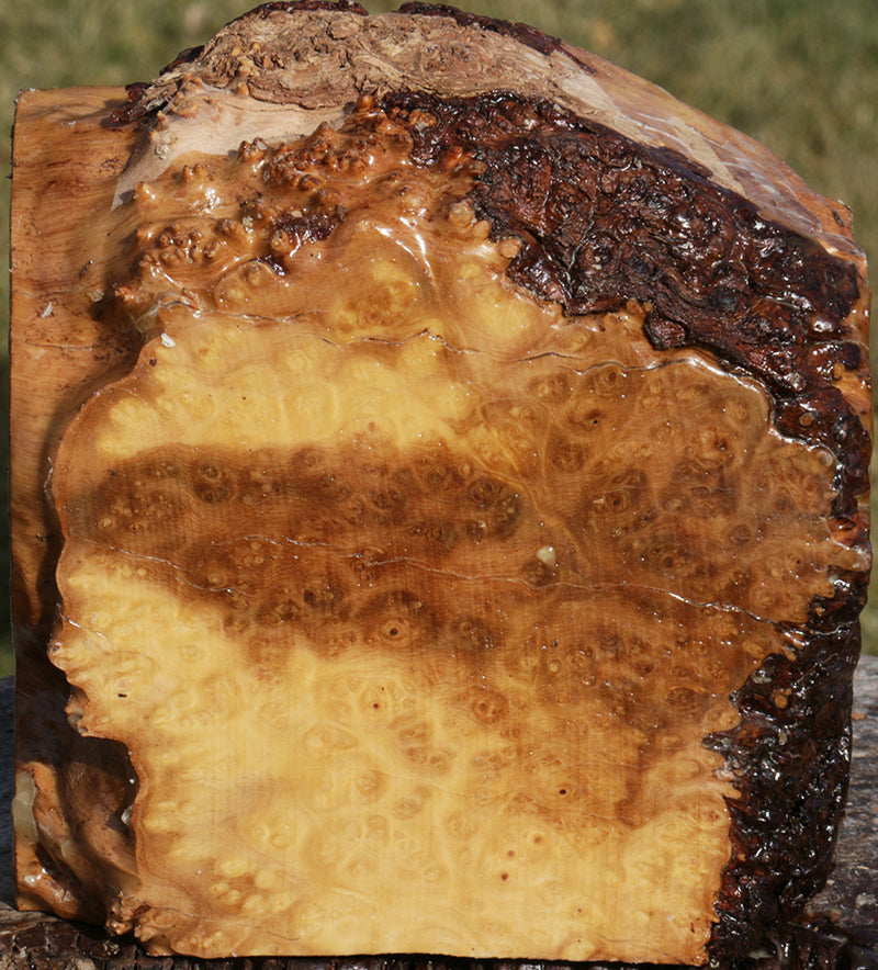 Exhibition Kanista Live Edge Bowl Blank