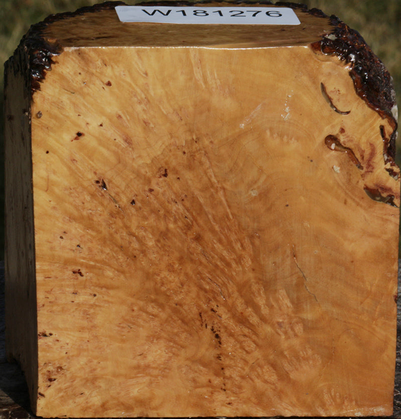 Exhibition Kanista Live Edge Bowl Blank