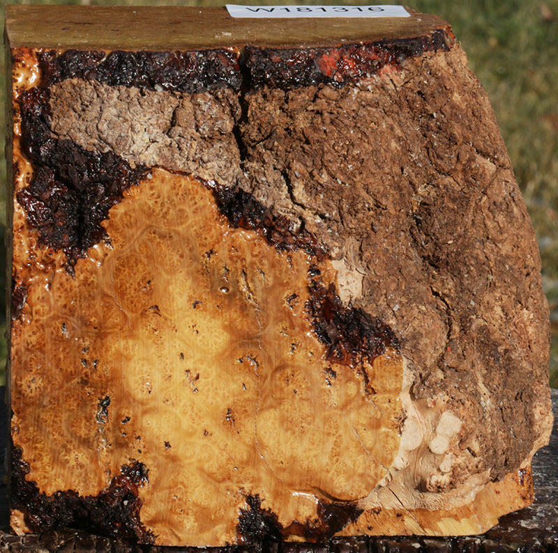 Exhibition Kanista Live Edge Bowl Blank