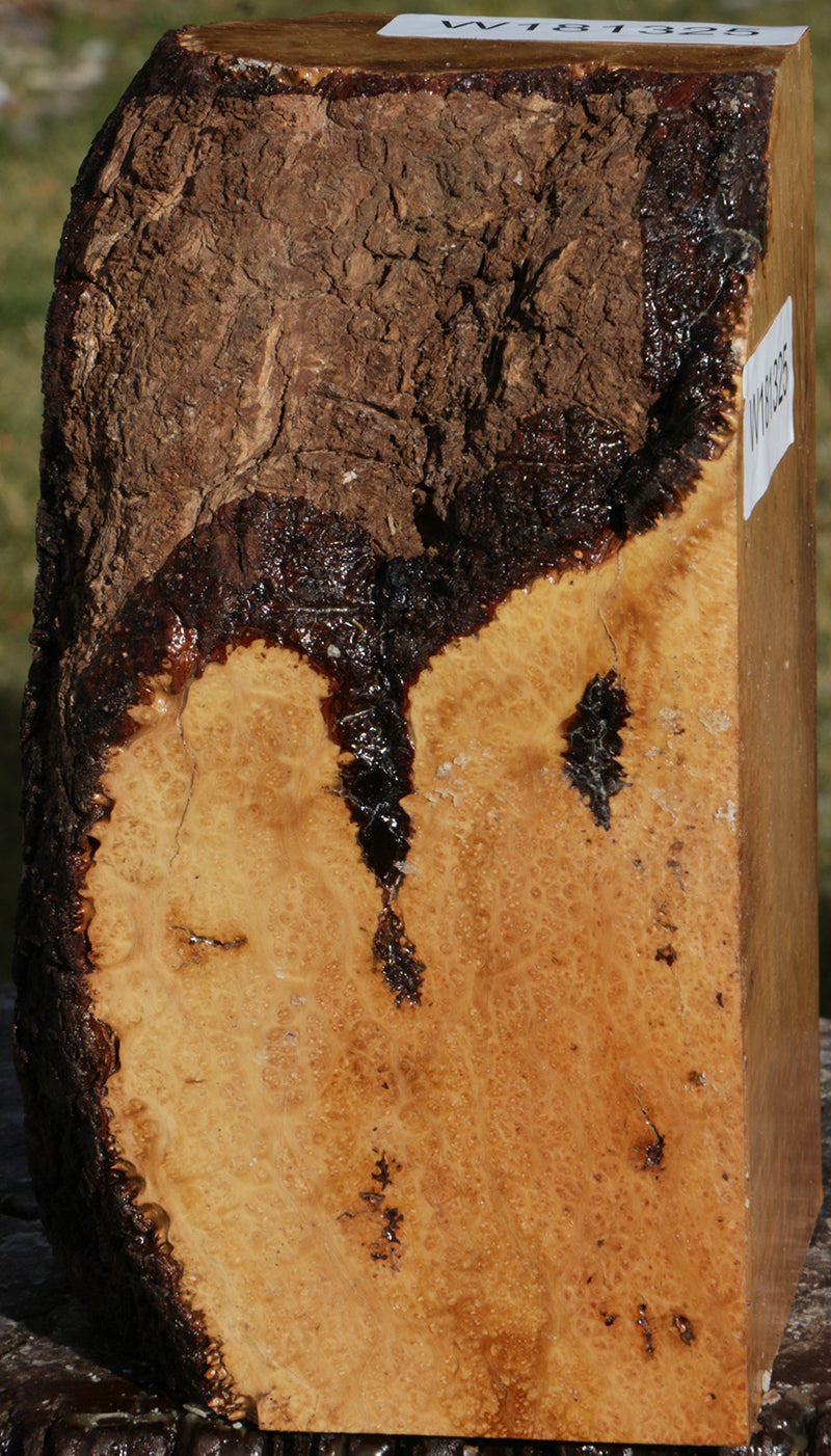 Extra Fancy Kanista Live Edge Turning Square