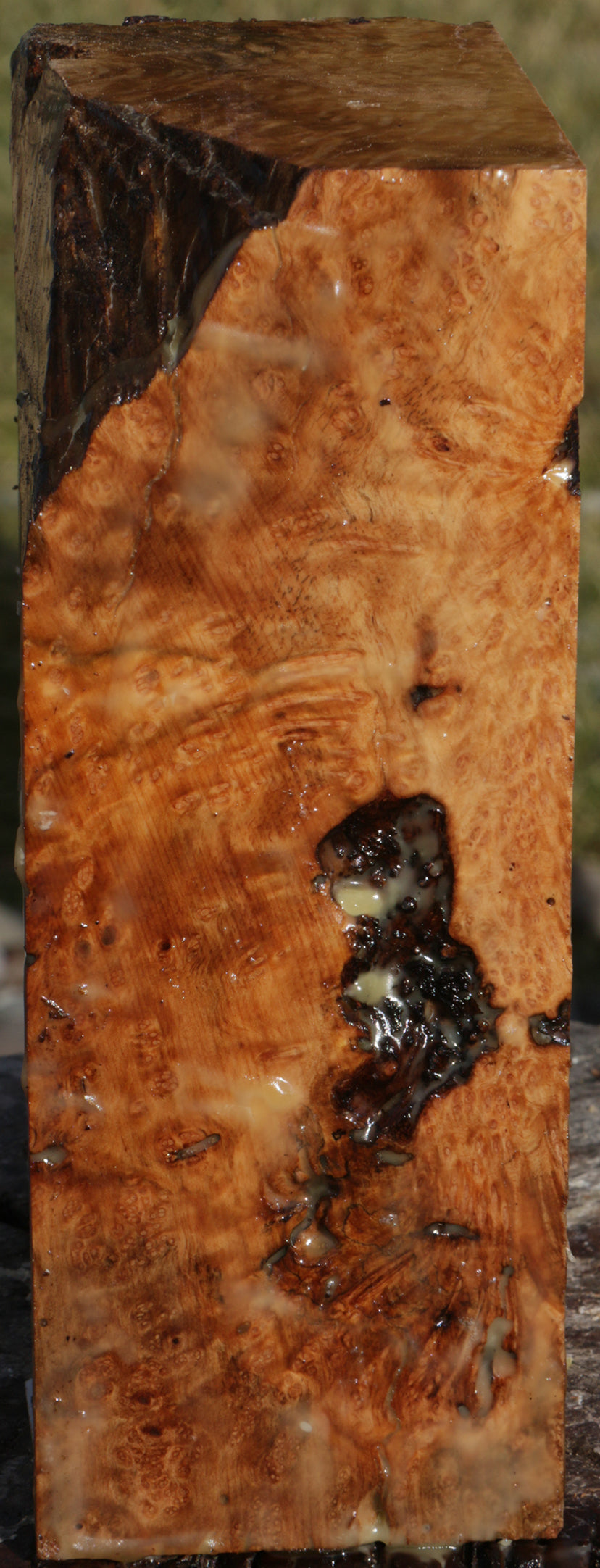 Exhibition Kanista Live Edge Bowl Blank