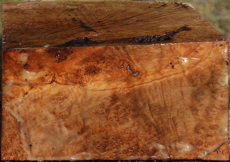 Exhibition Kanista Live Edge Bowl Blank