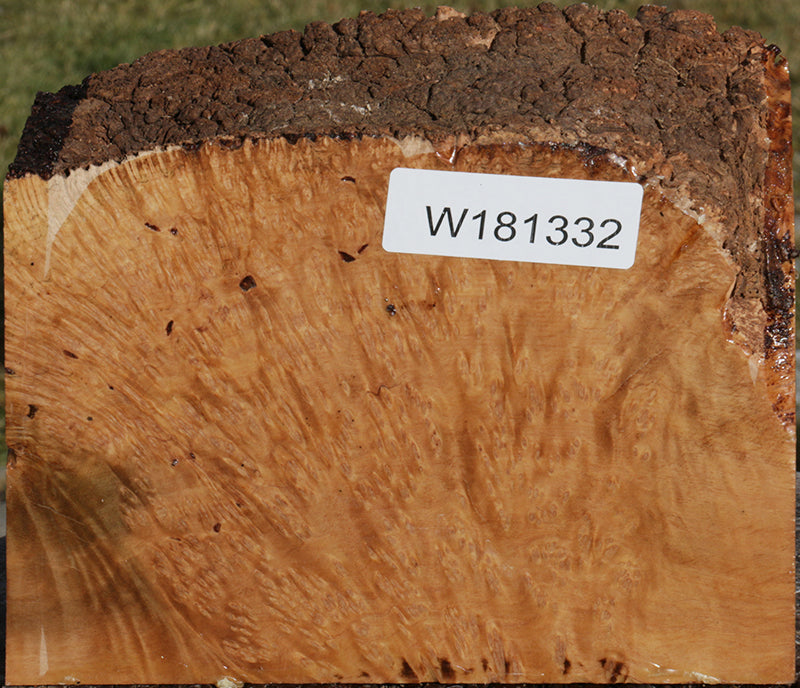 Exhibition Kanista Live Edge Bowl Blank