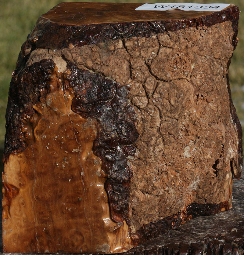 Exhibition Kanista Live Edge Bowl Blank