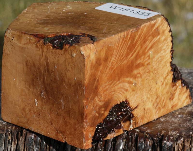 Exhibition Kanista Live Edge Bowl Blank