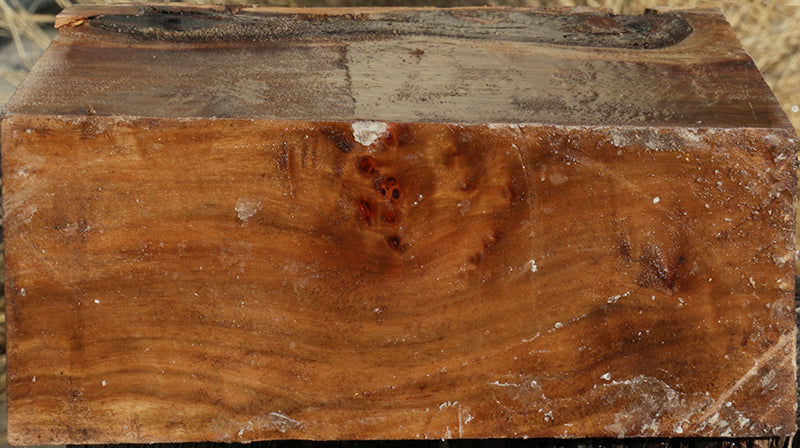 California Cottonwood Burl Live Edge Turning Blank