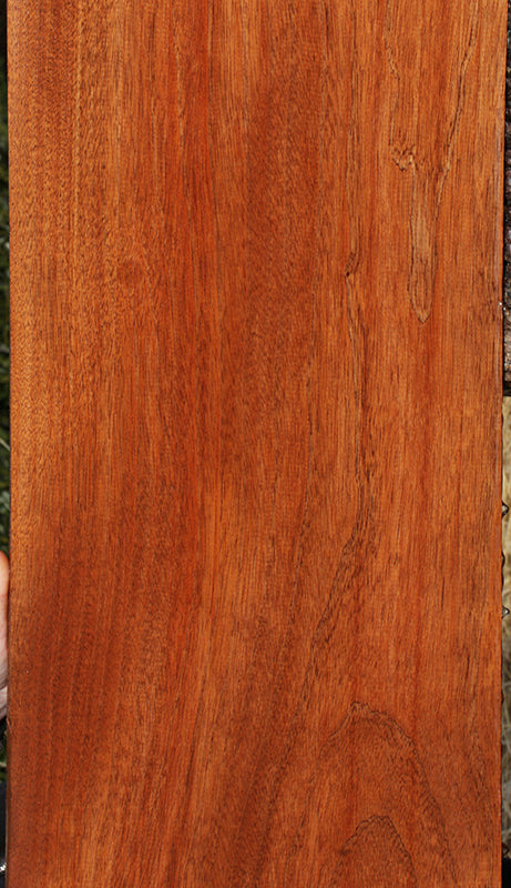 Extra Fancy Sipo Lumber