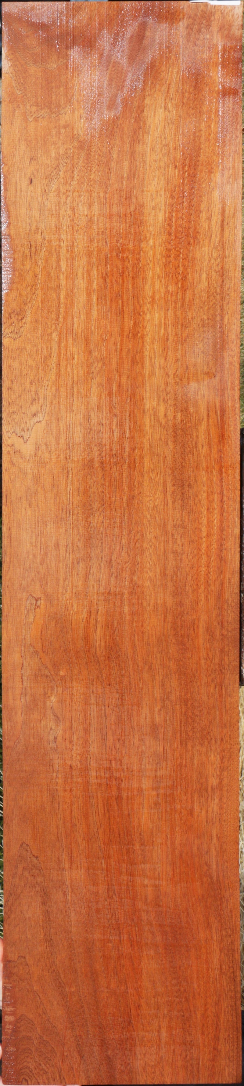 Extra Fancy Sipo Lumber