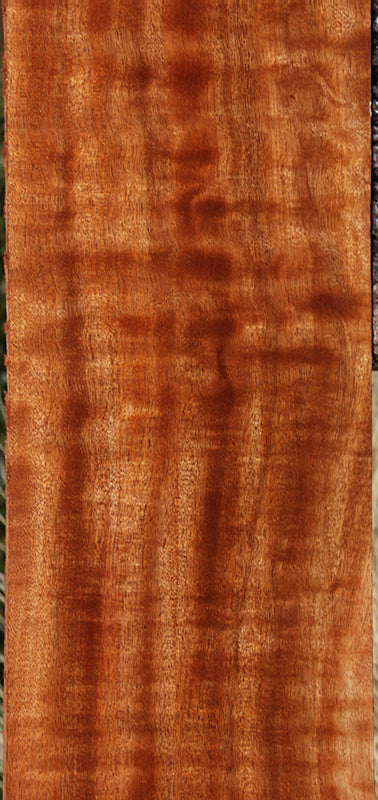 Exhibition Sipo Lumber