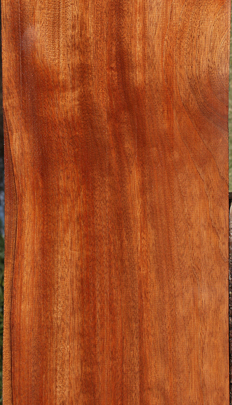 Extra Fancy Sipo Lumber