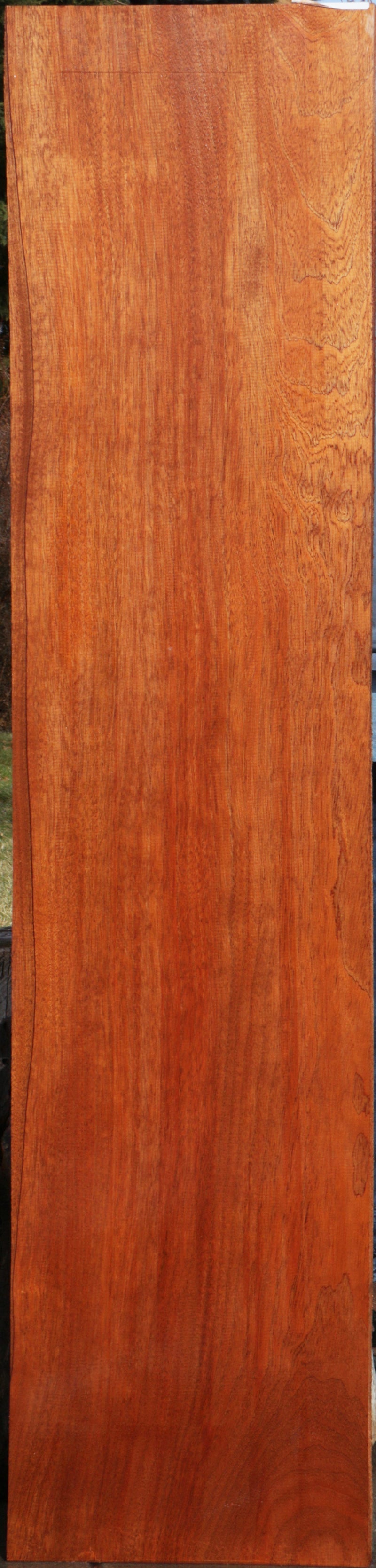 Extra Fancy Sipo Lumber