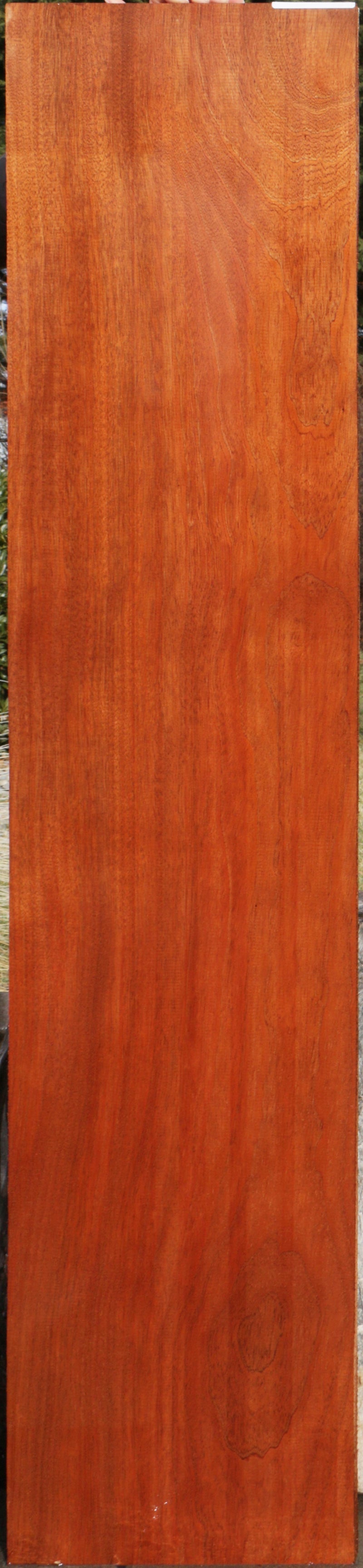 Extra Fancy Sipo Lumber