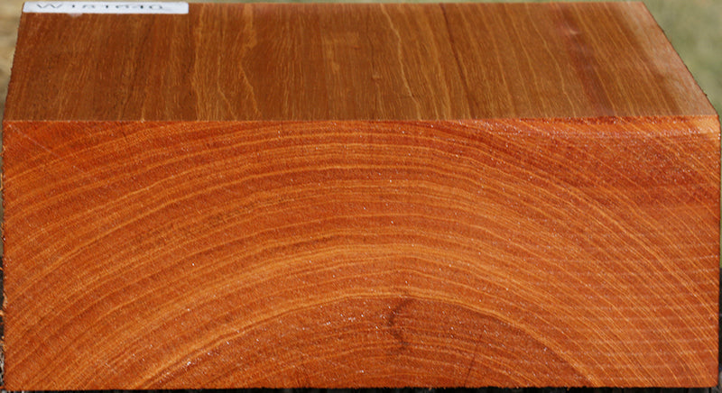 Ribbon Figured Honduras Mahogany Bowl Blank