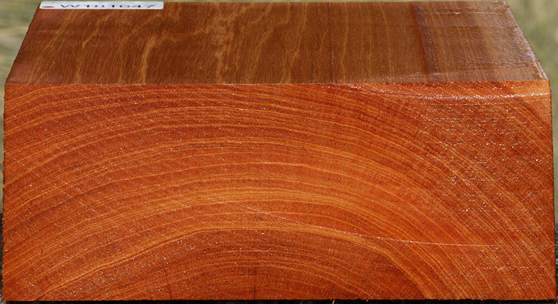 Ribbon Figured Honduras Mahogany Bowl Blank