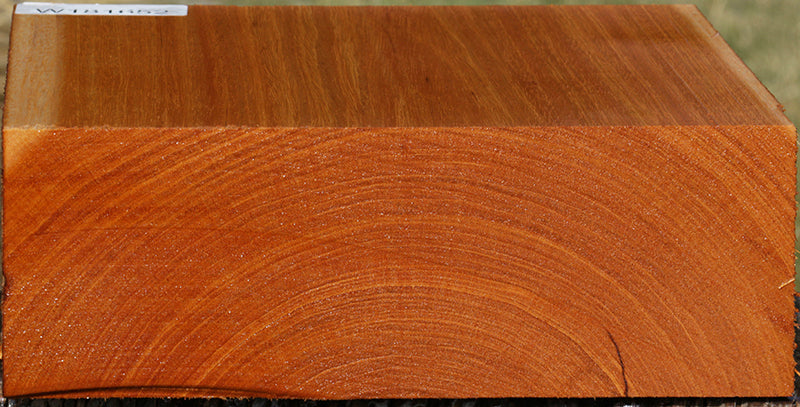 Ribbon Figured Fiddleback Honduras Mahogany Bowl Blank