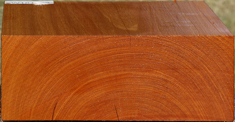 Ribbon Figured Honduras Mahogany Bowl Blank