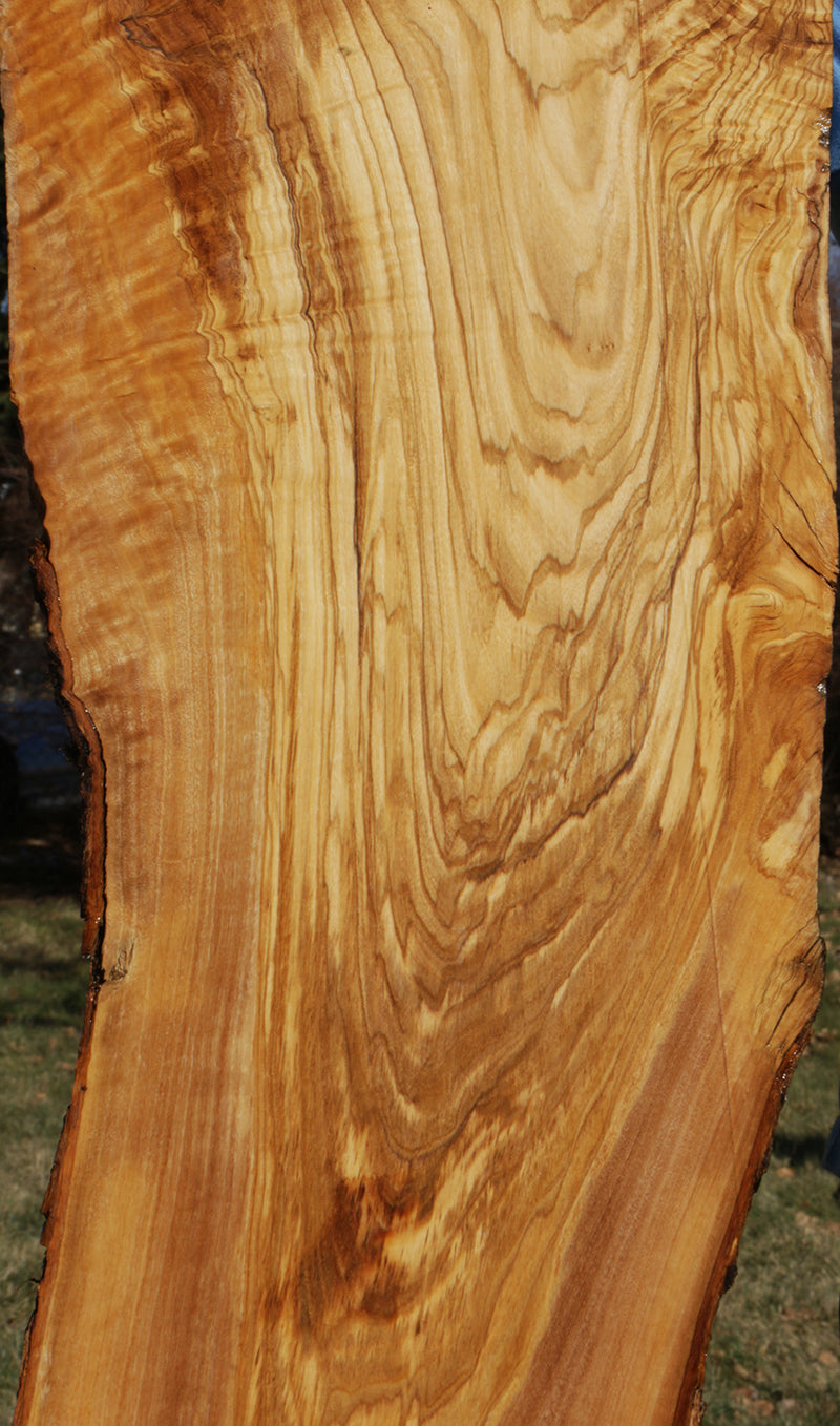 Extra Fancy Fiddleback Olive Live Edge Lumber