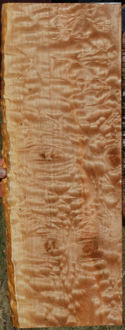 AAAA Quilted Maple Instrument Live Edge Lumber