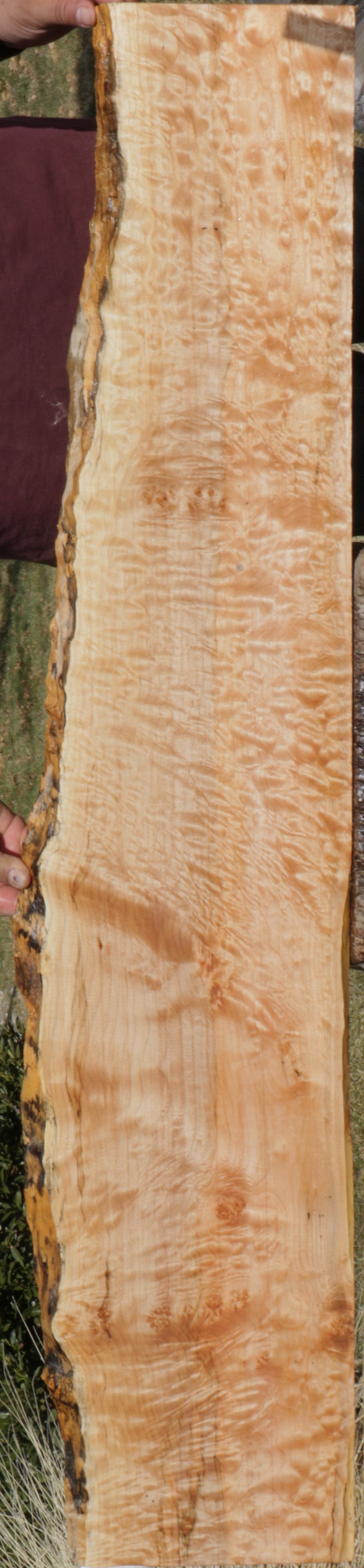 Extra Fancy Quilted Maple Live Edge Lumber