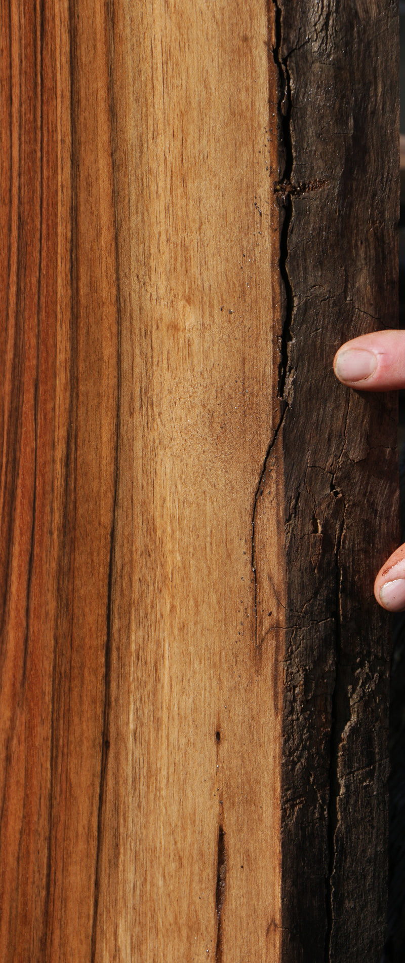 Extra Fancy English Claro Graft Walnut Live Edge Slab (Freight Shipping Required)
