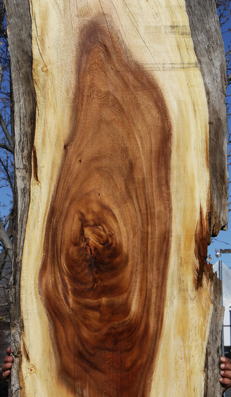 Rustic Monkeypod Live Edge Slab