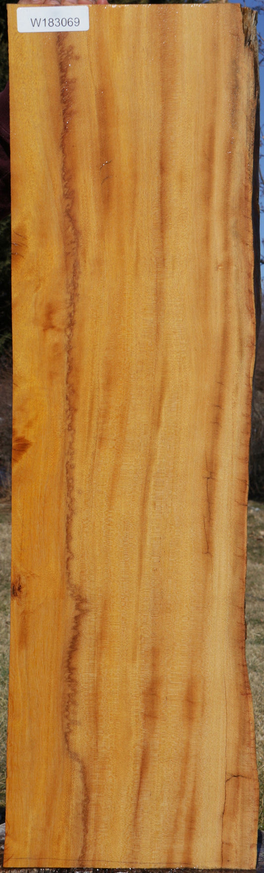 Orange Agate Live Edge Lumber