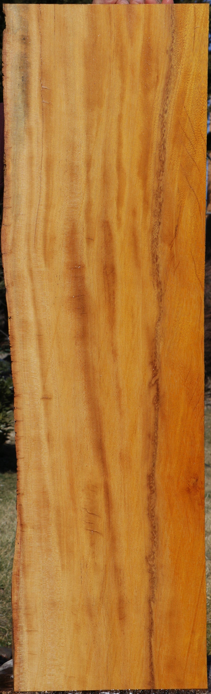Orange Agate Live Edge Lumber
