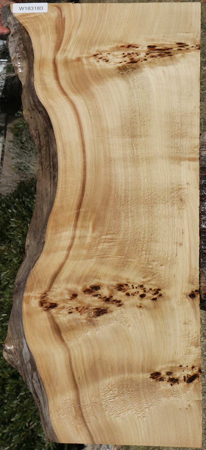 Pippy Oak Timber/burr Oak/river Table/Character/live Edge/hard Wood/boards  slabs