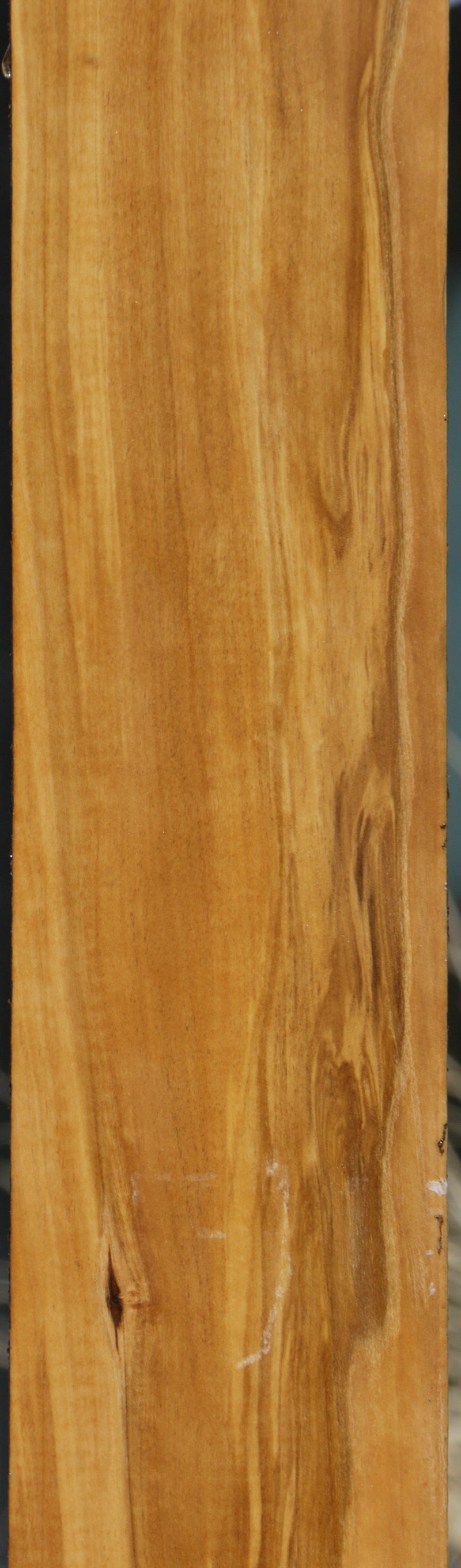 Extra Fancy Castello Boxwood Lumber