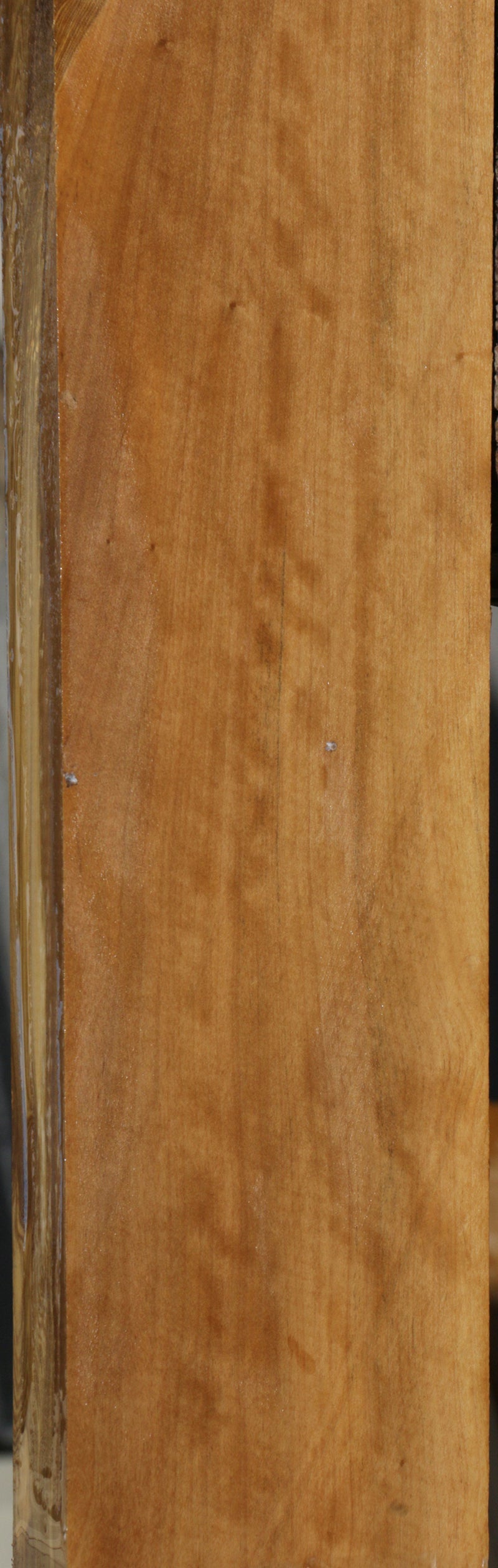 Extra Fancy Castello Boxwood Lumber