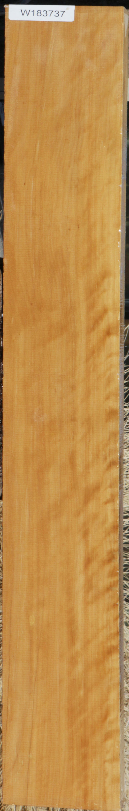 Extra Fancy Castello Boxwood Lumber