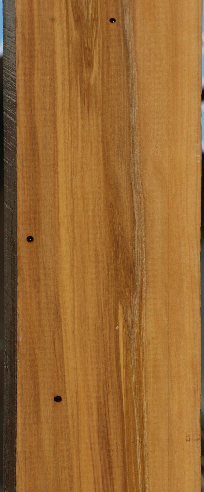 Extra Fancy Castello Boxwood Lumber