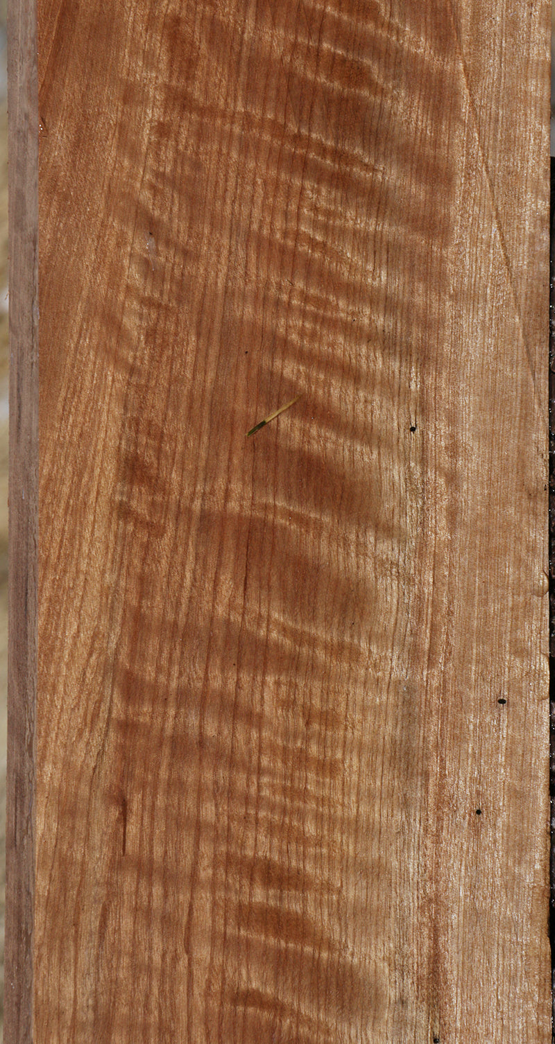 Curly Asian Satinwood Lumber