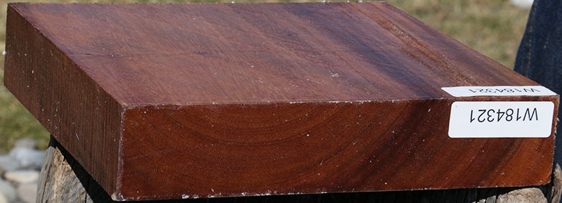 Monkeypod Bowl Blank