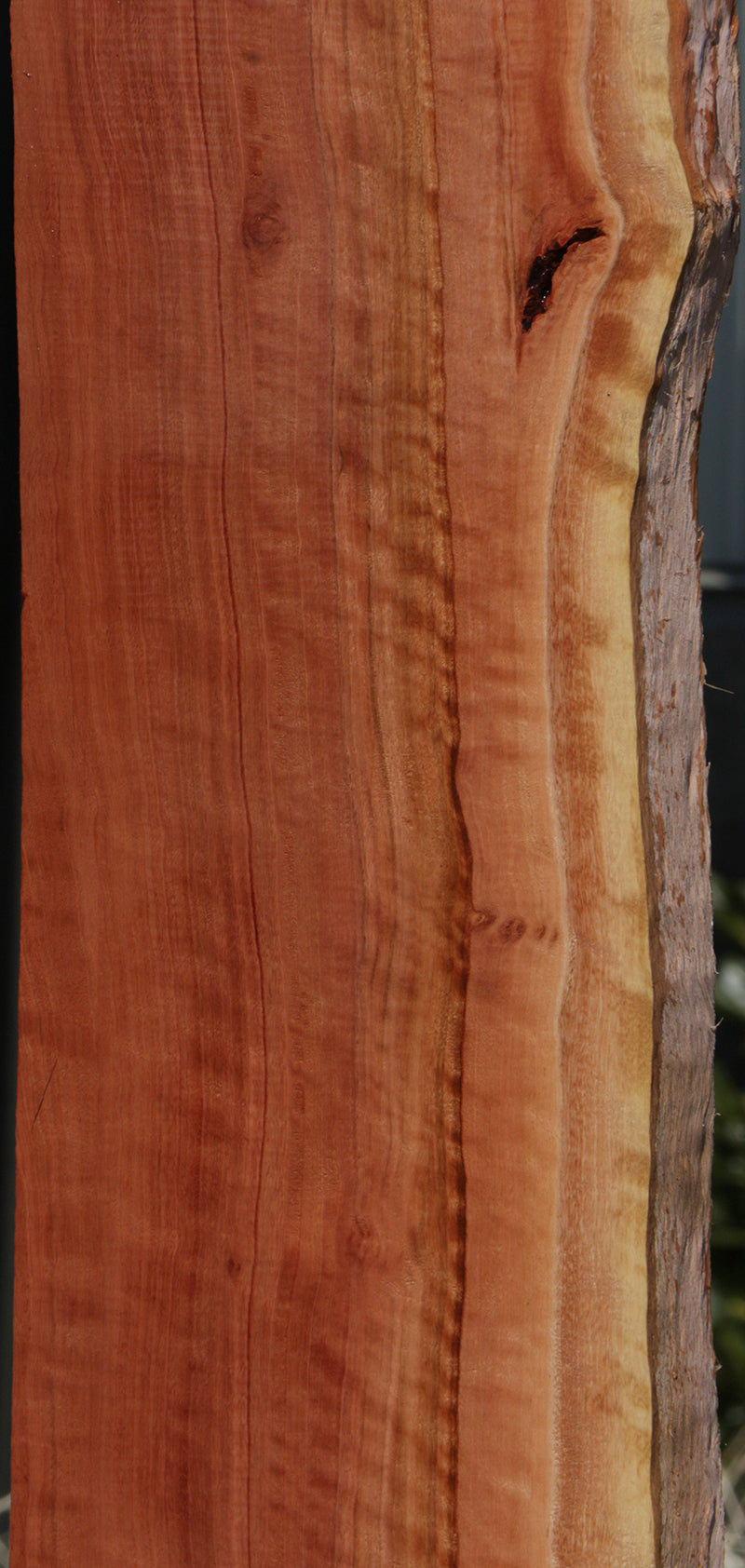Figured Red Gum Live Edge Lumber