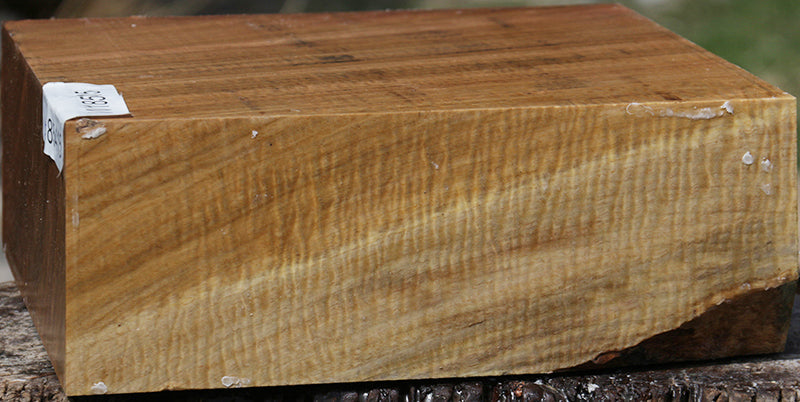 Exhibition Australian Eucalyptus Bowl Blank